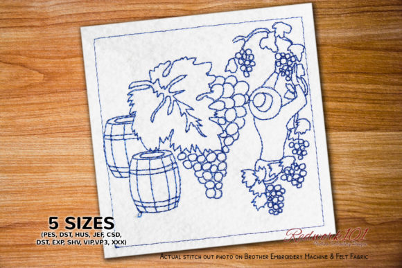 Charming Woman Harvesting Grapes in a Vineyard